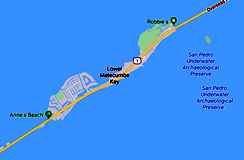 Lower Matecumbe Key Picture